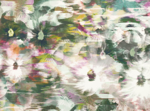 Kansai  Zinnia W906-01